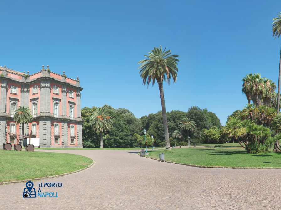 Museo di Capodimonte